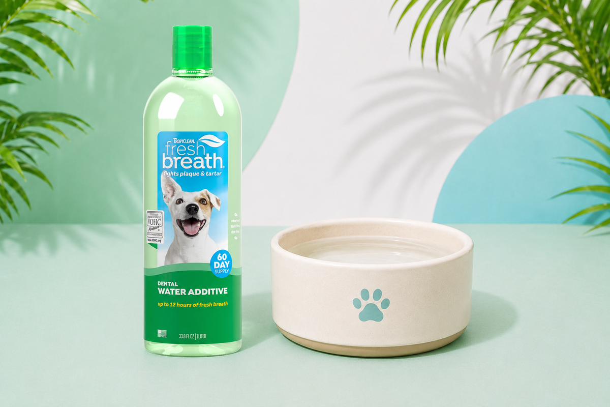 Dental Water Additive: Best Value for Large Dogs