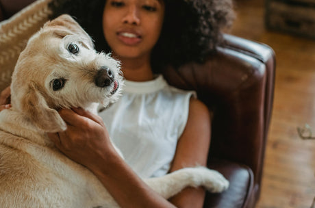 Blog: Shiny Coats, Happy Pets: How Our 2-in-1 Formula Nourishes Skin and Fur, image of dog and woman