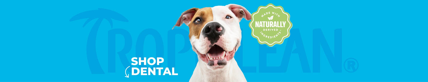 TropiClean Fresh Breath Water Additives for Pets, image of a brown and white dog.
