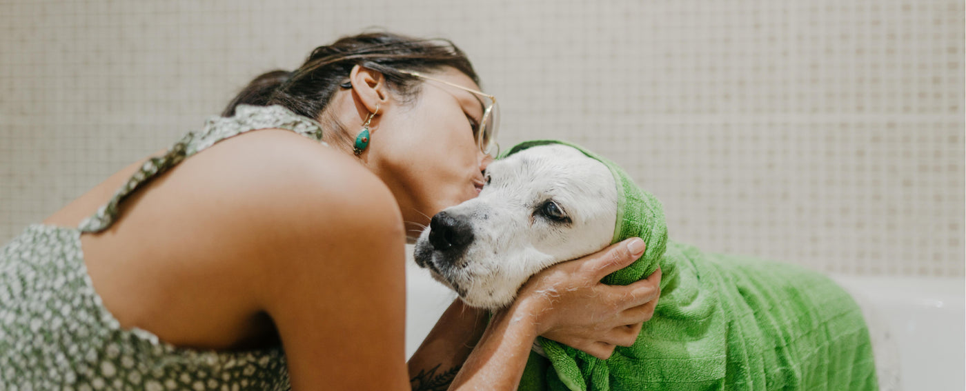 TropiClean Bath Time Solutions for Dogs and Cats. Woman hugging a dog wrapped in a green towel