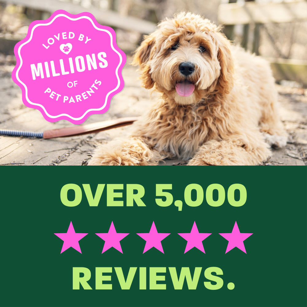 light green and dark green background, "Loved by millions" 5 star reviews.