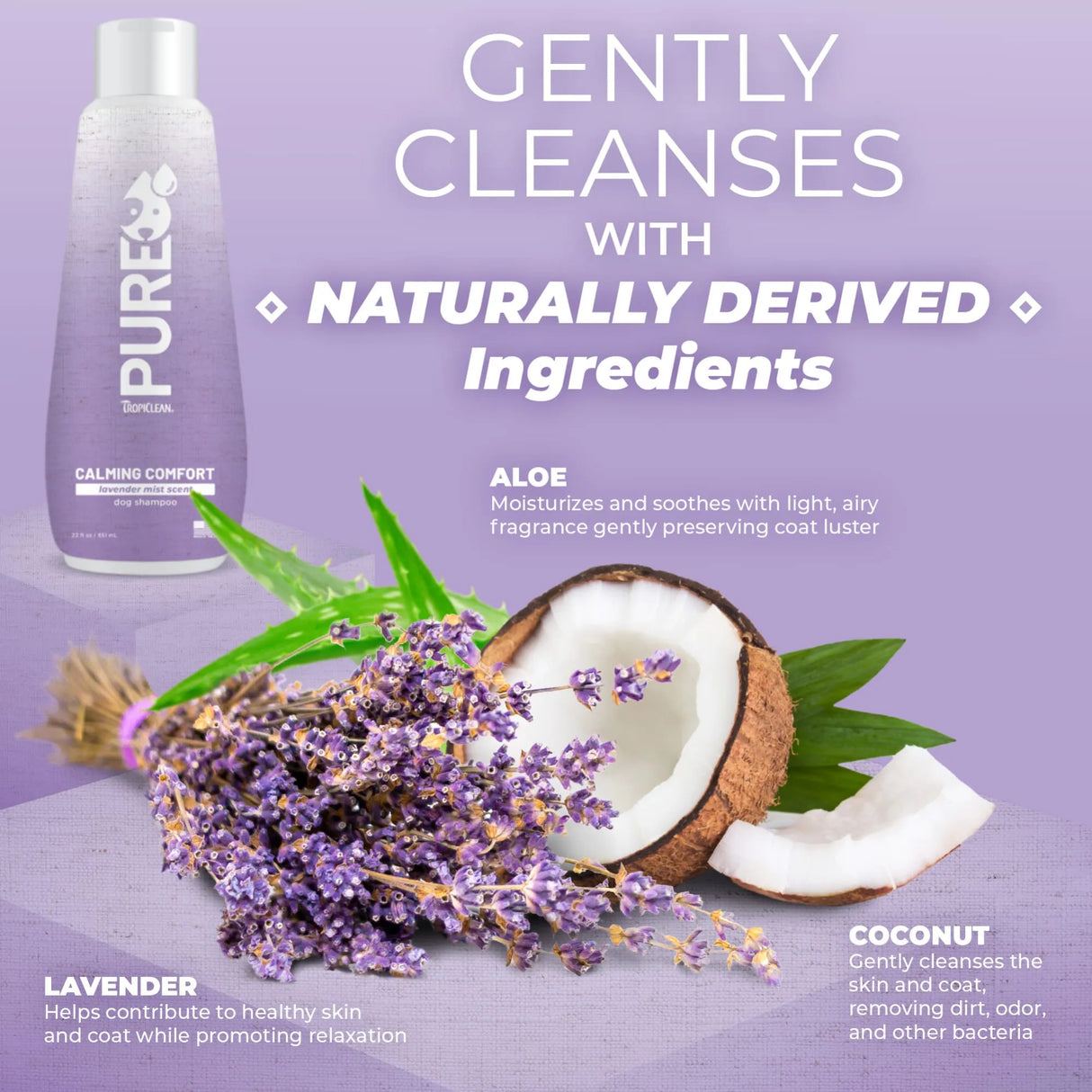 TropiClean PURE Lavender Mist Calming Plant-Based Pet Shampoo, aloe, coconut and lavender ingredients on violet background.