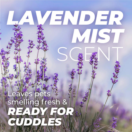 TropiClean PURE Lavender Mist Calming Plant-Based Pet Shampoo, lavender field
