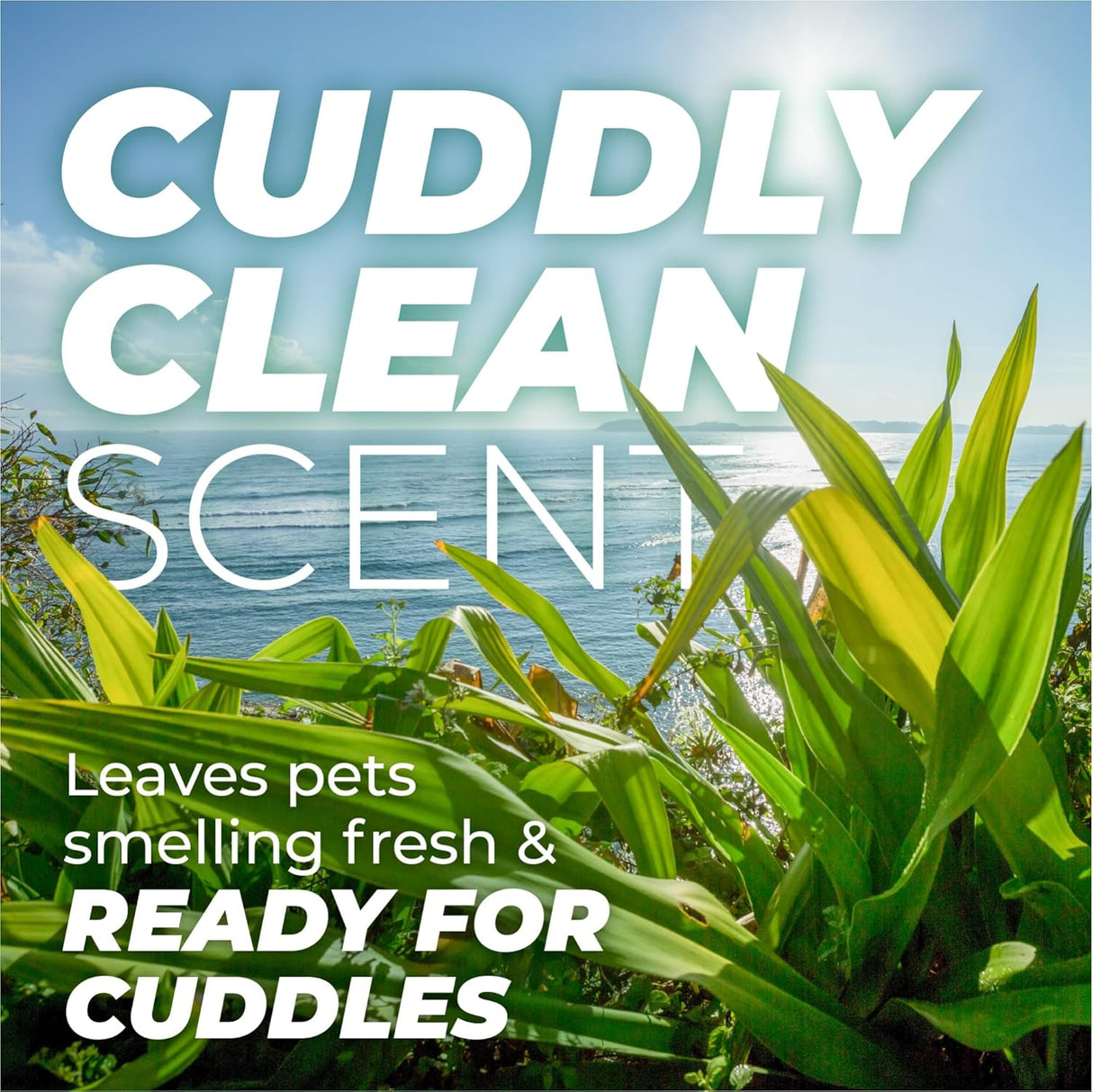 TropiClean PURE Cuddly Clean Odor Control Plant-Based Dog Shampoo, scent