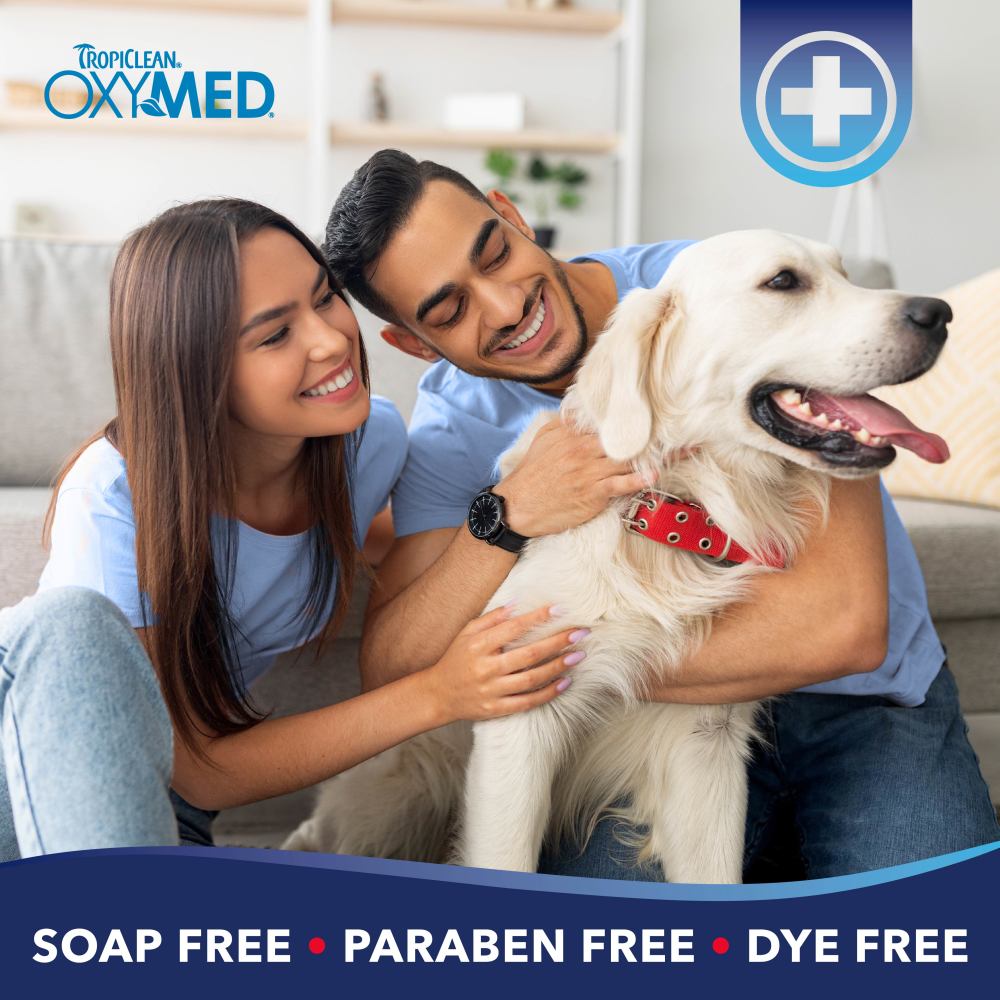 Couple with a dog in a living room, Tropiclean OxyMed brand visible