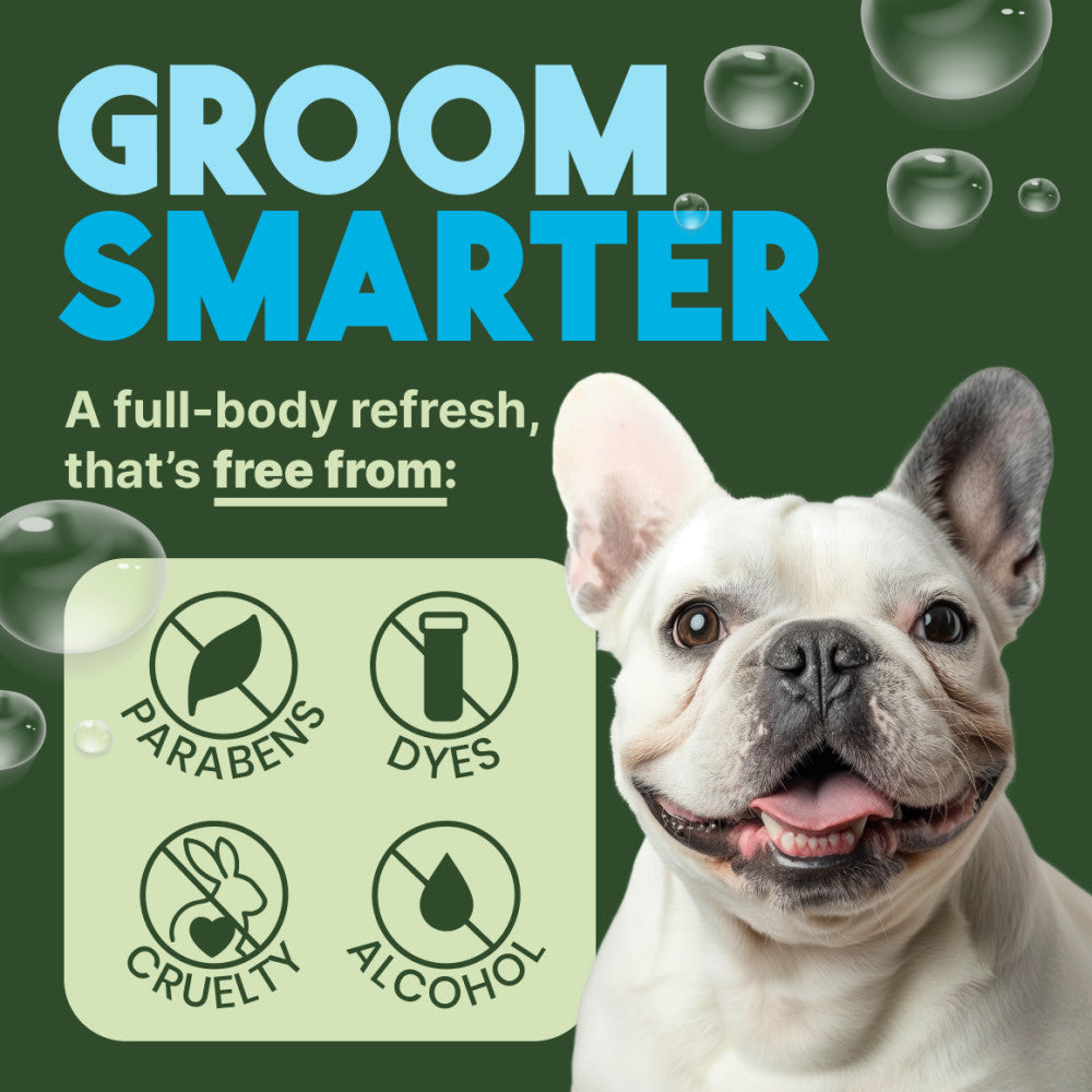 TropiClean Baby Powder Deodorizing Spray for Dogs & Cats. Dog with 'Groom Smarter' text and product features