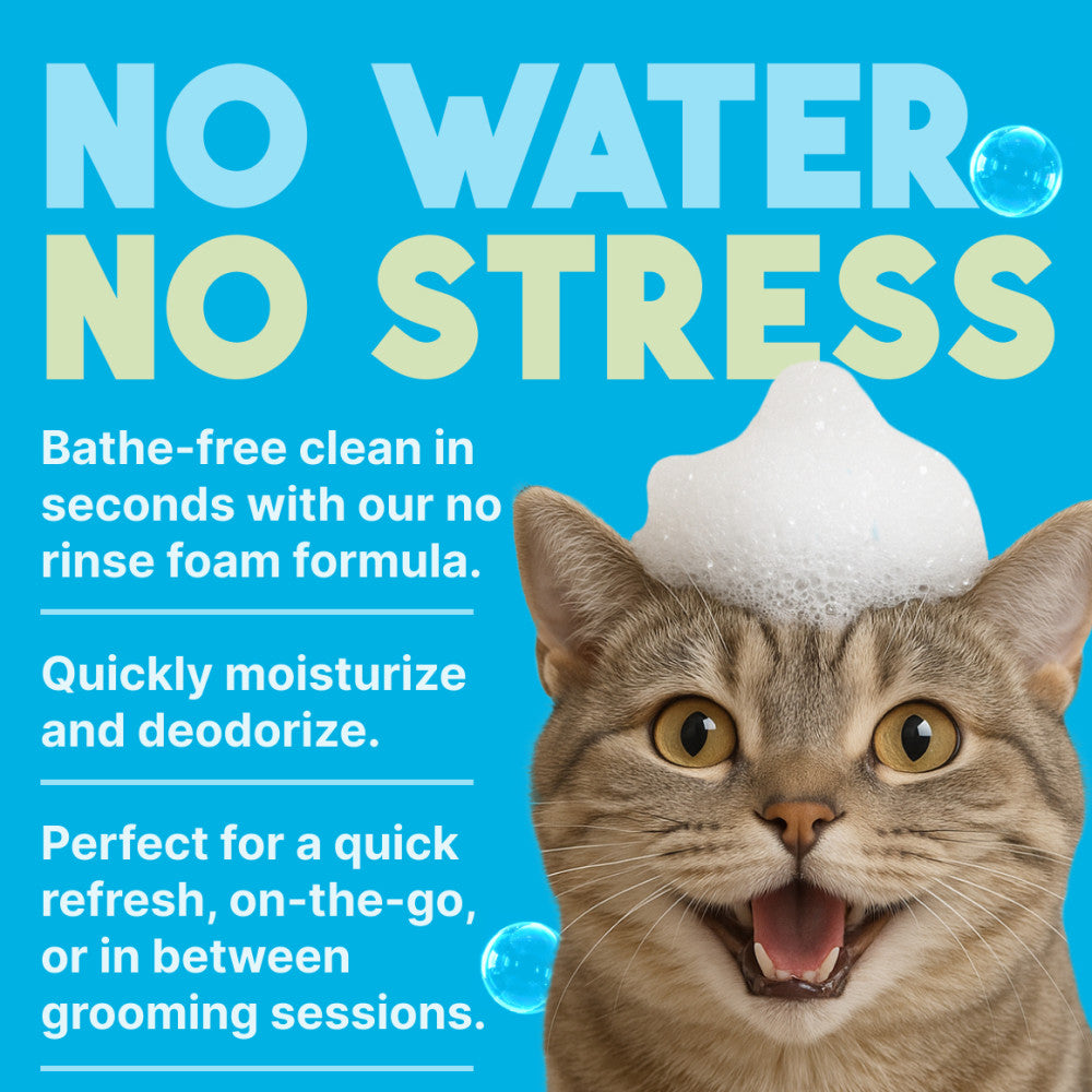 Cat with foam on head with text about no water no stress product.