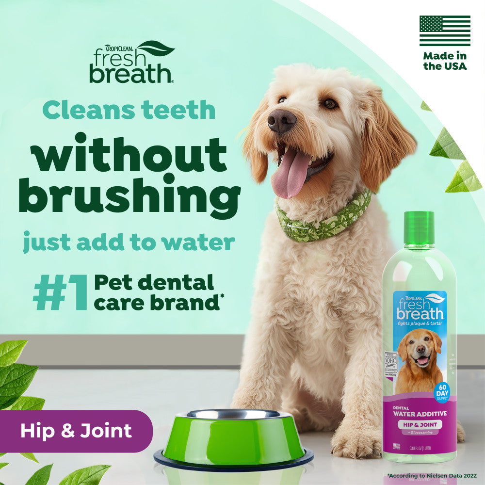 Dog with a bottle of Fresh Breath by TropiClean Oral Care Water Additive Plus Hip & Joint for Pets and text about pet dental care.