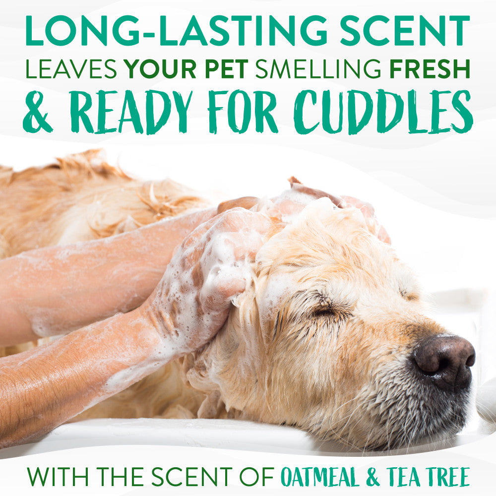 Dog being washed with TropiClean Oatmeal & Tea Tree Medicated Itch Relief Shampoo for Pets, text about long-lasting scent and pet care.