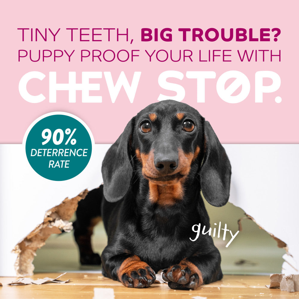 TropiClean Chew Stop Behavior Aid Puppy Spray. Dog sitting next to a chewed-up baseboard with text promoting 'Chew Stop' product.