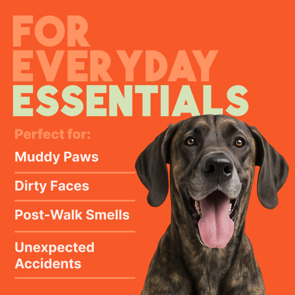 TropiClean Papaya & Coconut Luxury 2-In-1 Pet Wipes. Dog with text on an orange background about everyday essentials for pets.