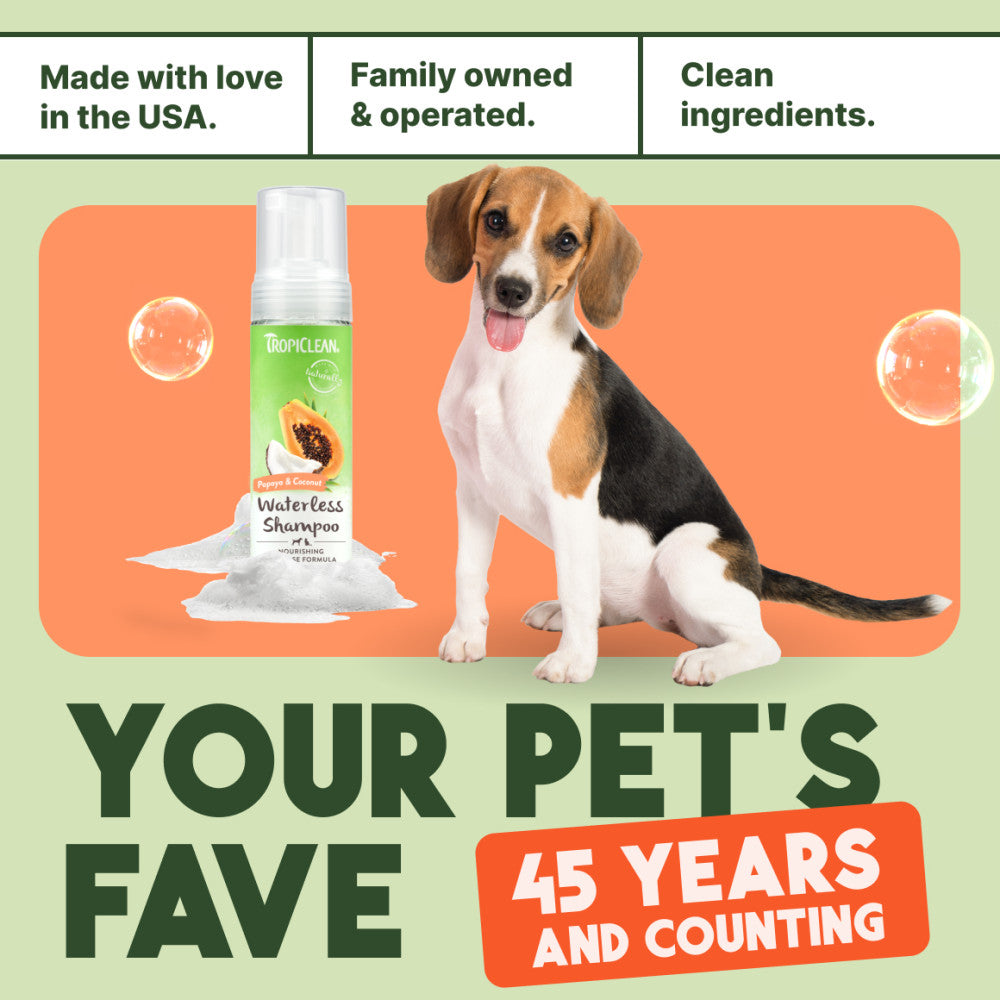 Dog with a bottle of TropiClean Papaya & Coconut Waterless Shampoo for Dogs & Cats and text about product features and longevity.
