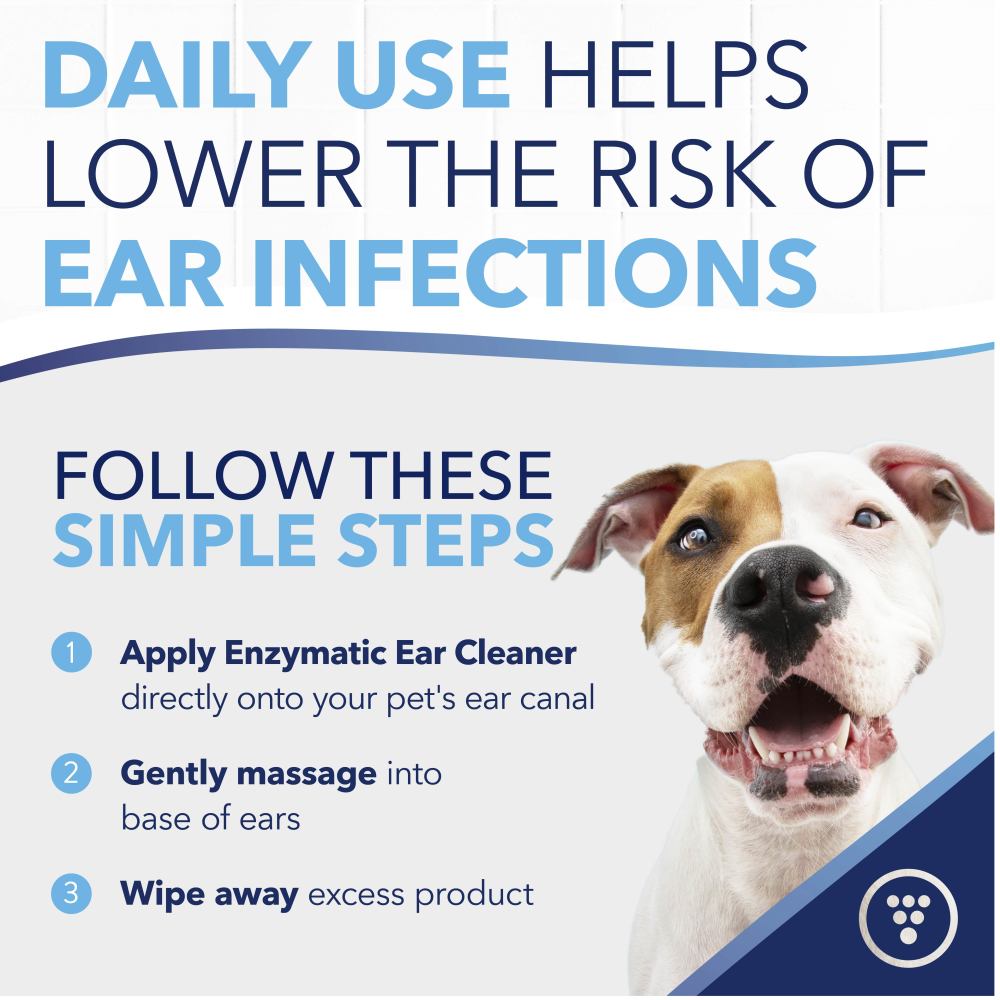 Dog with text about using TropiClean OxyMed Enzymatic Ear Cleaner for Pets to lower the risk of ear infections