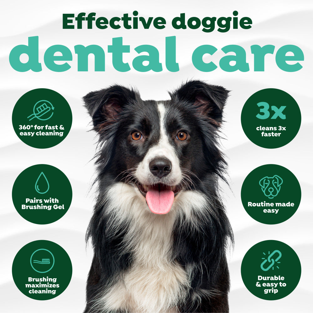 Effective dental care with features in green circles.