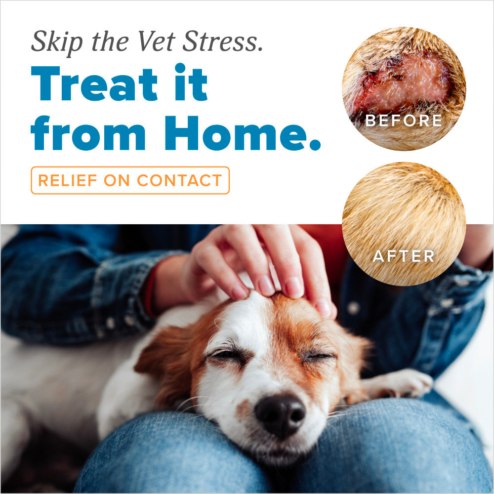 HomeVet Medicated Hot Spot Cream for Dogs by TropiClean. Advertisement for a pet care product showing a dog being petted with 'Before' and 'After' effects on skin condition.