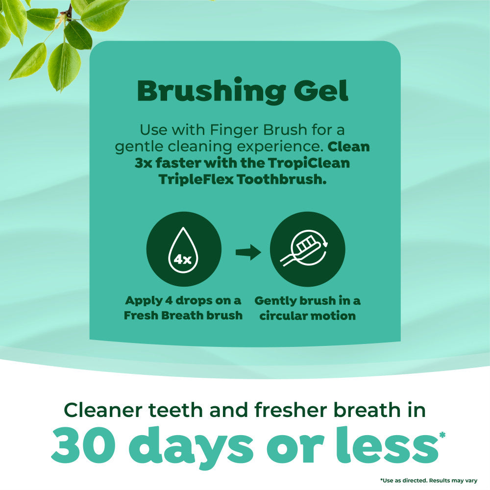 Fresh Breath by TropiClean Oral Care Kit for Small and Medium Dogs. Teal box with brushing gel instructions and benefits on a light green background