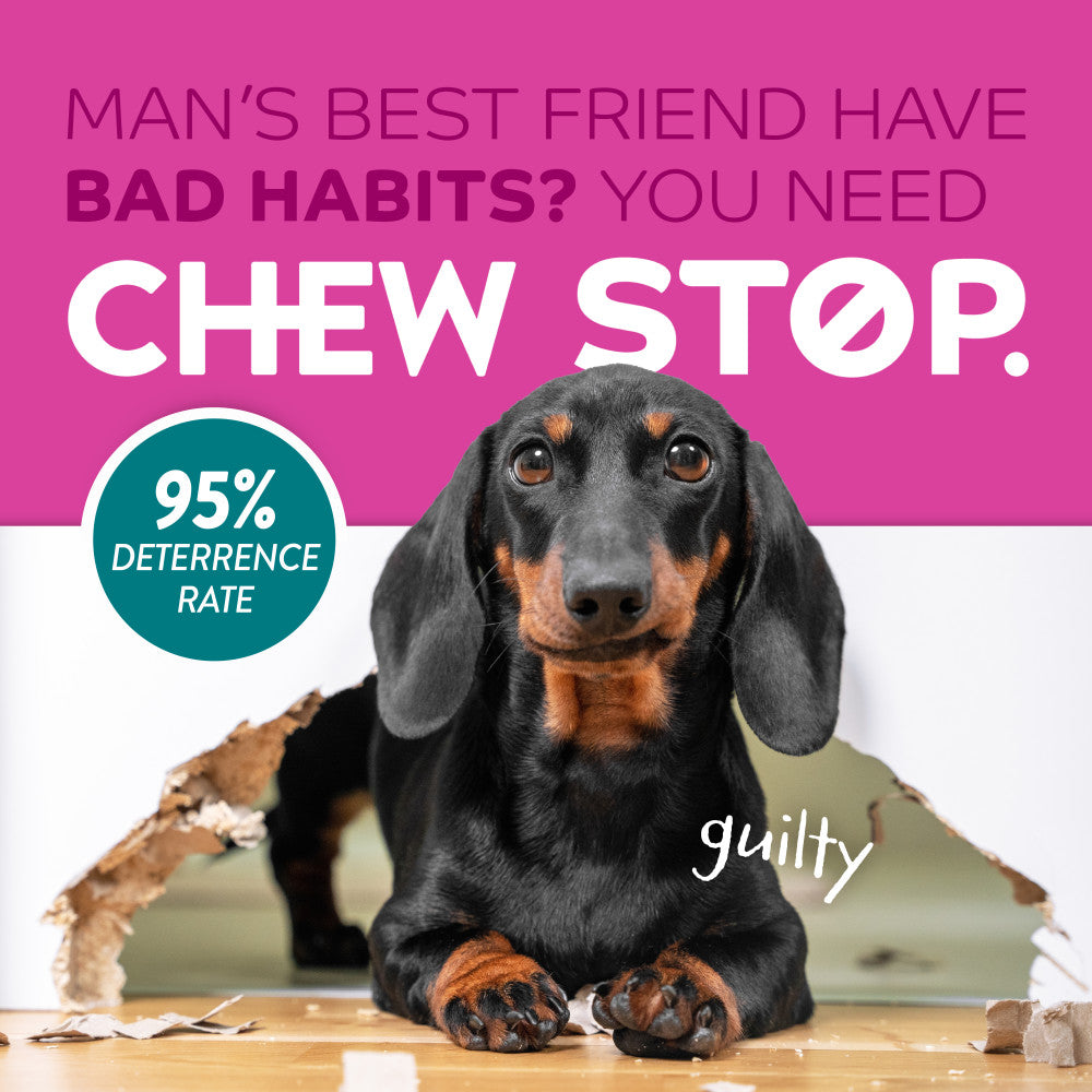 TropiClean Chew Stop Behavior Aid Dog & Home Spray. Dog sitting on a floor with a 'Chew Stop' advertisement