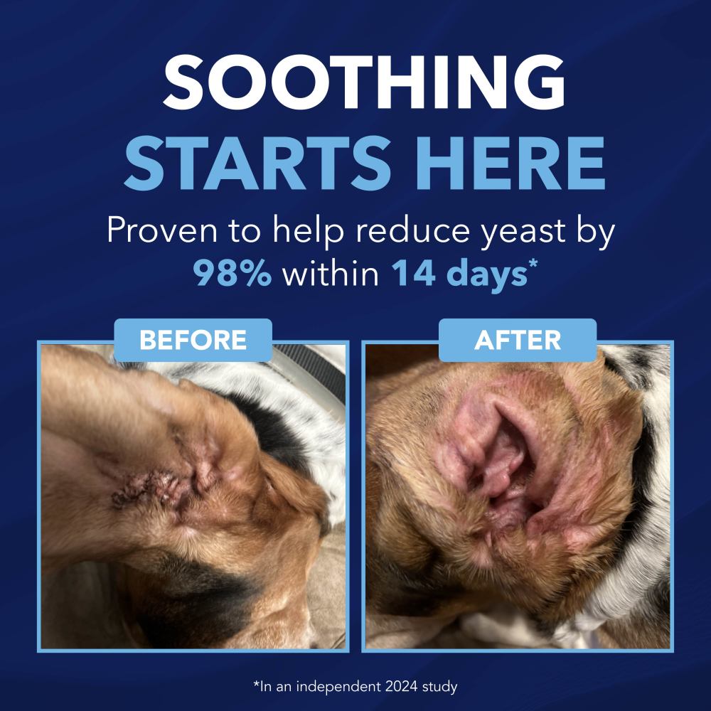 Before and after comparison of a dog's ear with text about soothing relief and yeast reduction when using TropiClean OxyMed Enzymatic Ear Cleaner for Pets