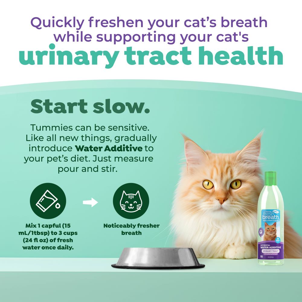 Cat with a bottle of TropiClean Fresh Breath Dental Water Additive + Urinary Tract Support for Cats and text about supporting urinary tract health and freshening breath.