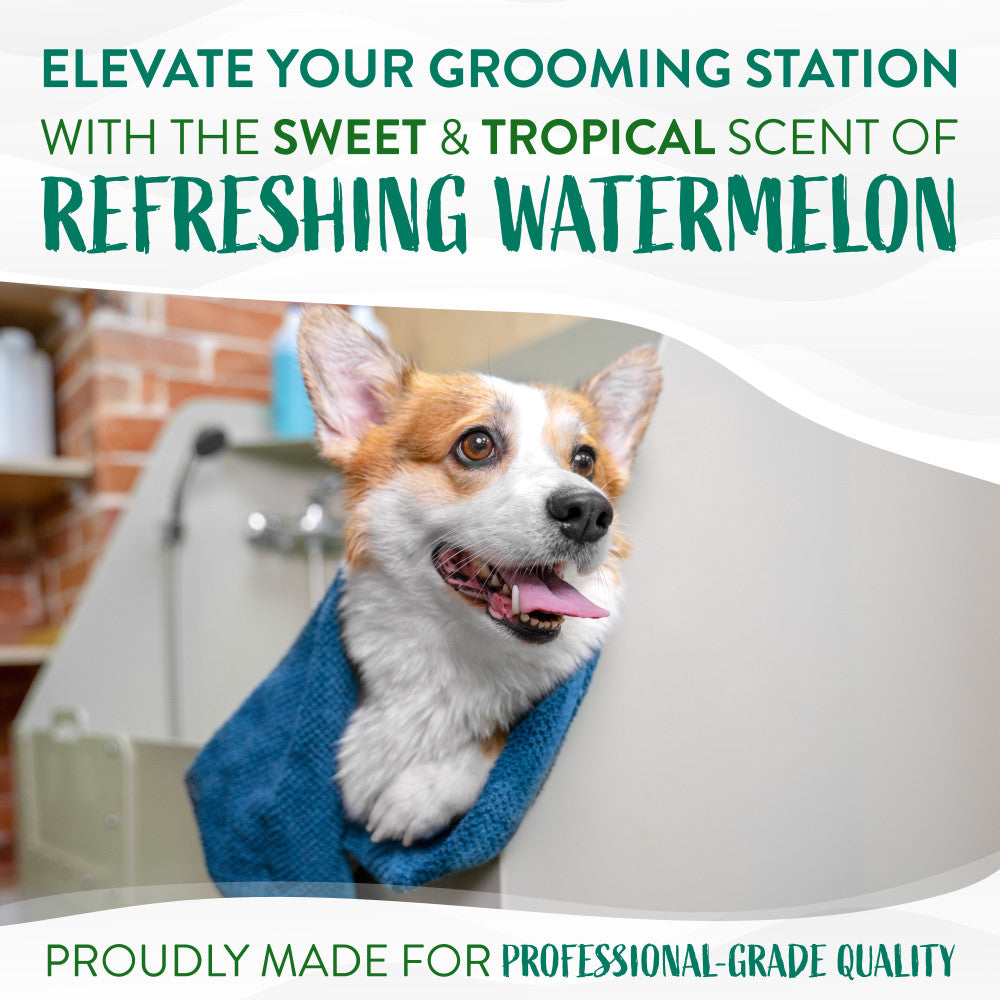 TropiClean Watermelon Refreshing 2-in-1 Pet Shampoo & Conditioner. Dog wrapped in a blue towel with promotional text about watermelon-scented grooming products.