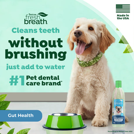 Dog sitting next to a bottle of TropiClean Fresh Breath Dental Water Additive Plus Gut Health for Dogs with text about dental care.