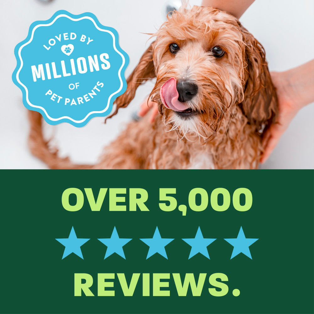 light green and green background, "Loved by millions" 5 star reviews.