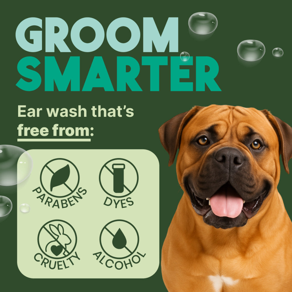 Dog with 'Groom Smarter' ear wash features on a green background