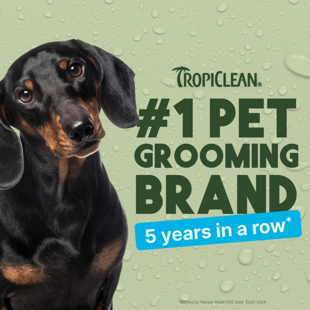 Dachshund dog with Tropiclean branding on a green background