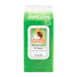TropiClean Papaya & Coconut Luxury 2-In-1 Pet Wipes, front of 100ct package
