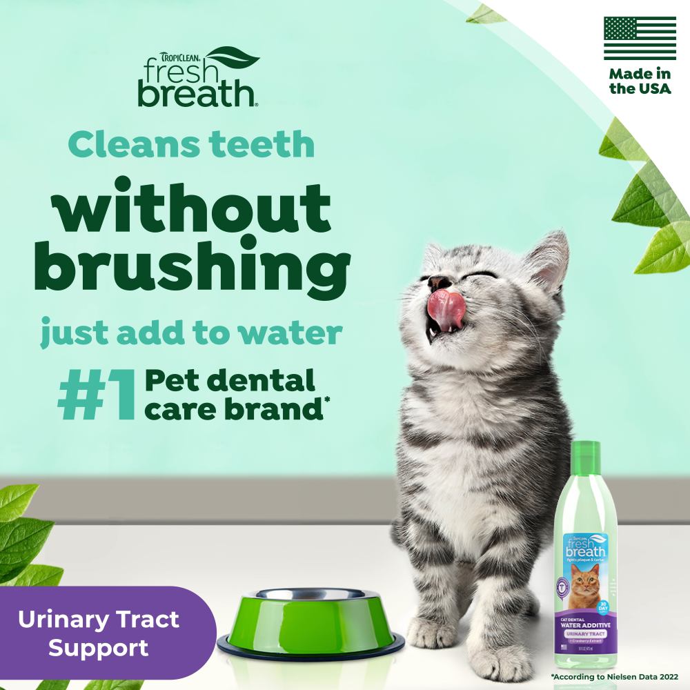 TropiClean Fresh Breath Dental Water Additive + Urinary Tract Support for Cats. Cat drinking water with 'Tropiclean Fresh Breath' product and text about pet dental care