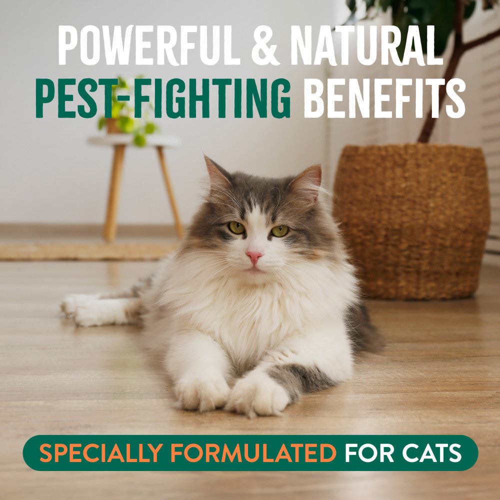 Cat sitting on a wooden floor with text about TropiClean pest-fighting benefits for cats.