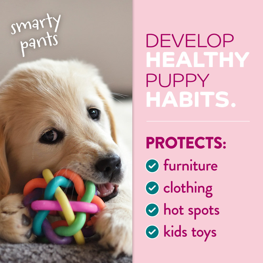 Puppy playing with a colorful toy, with text about developing healthy puppy habits.