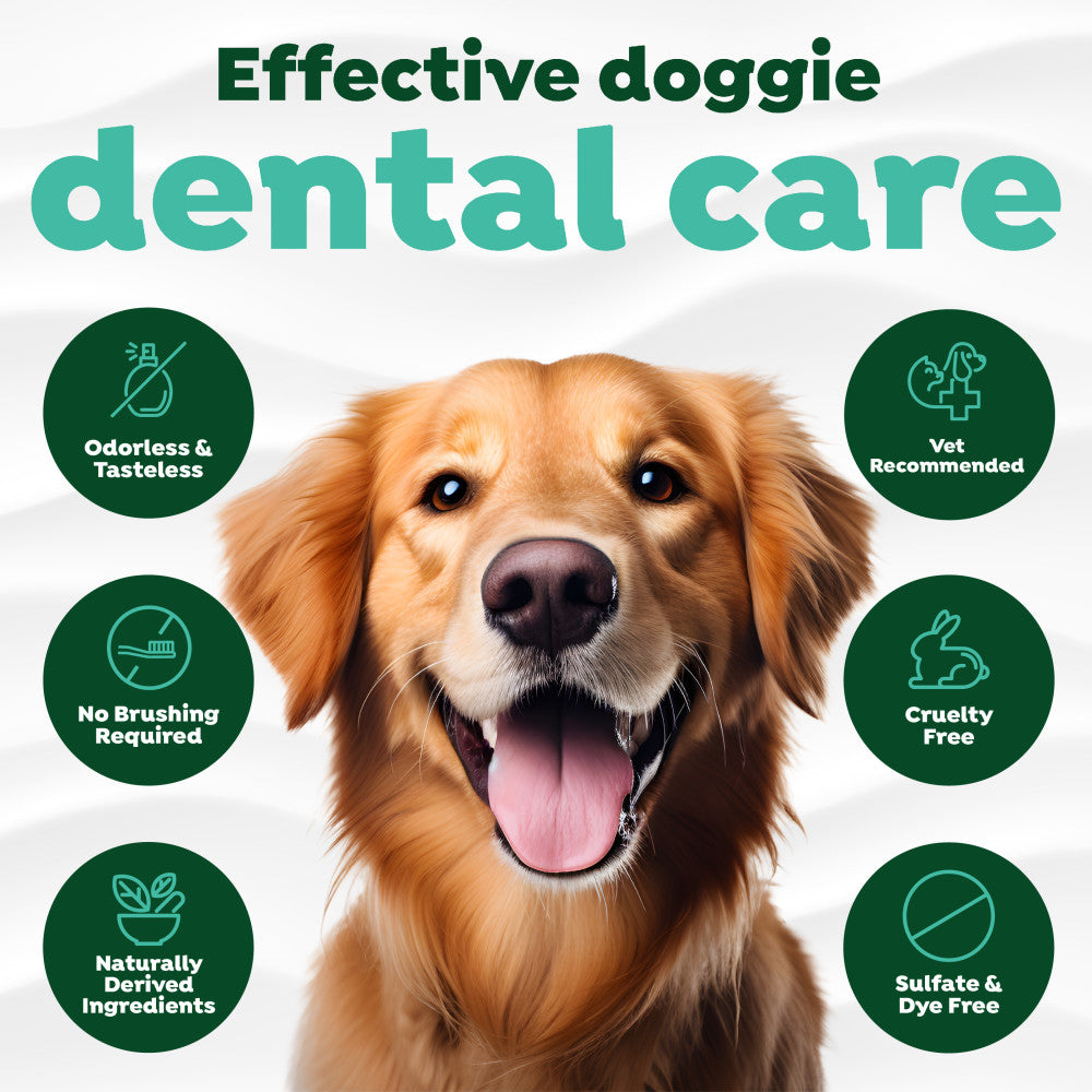 TropiClean Fresh Breath Dog Dental Water Additive Concentrate. Dog with 'Effective doggie dental care'