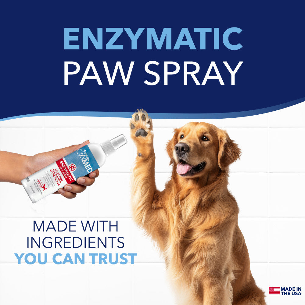 Enzymatic paw spray for dogs with a dog raising its paw and a hand holding the TropiClean OxyMed Enzymatic Paw Odor and Itch Pet Spray.