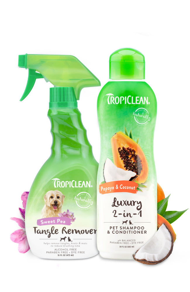 2-1 Shampoo & Detangler