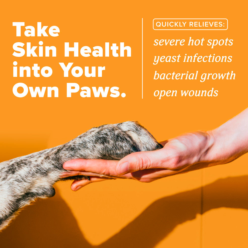 HomeVet Medicated Hot Spot Cream for Dogs by TropiClean. Person petting a dog's paw with text about skin health remedies.