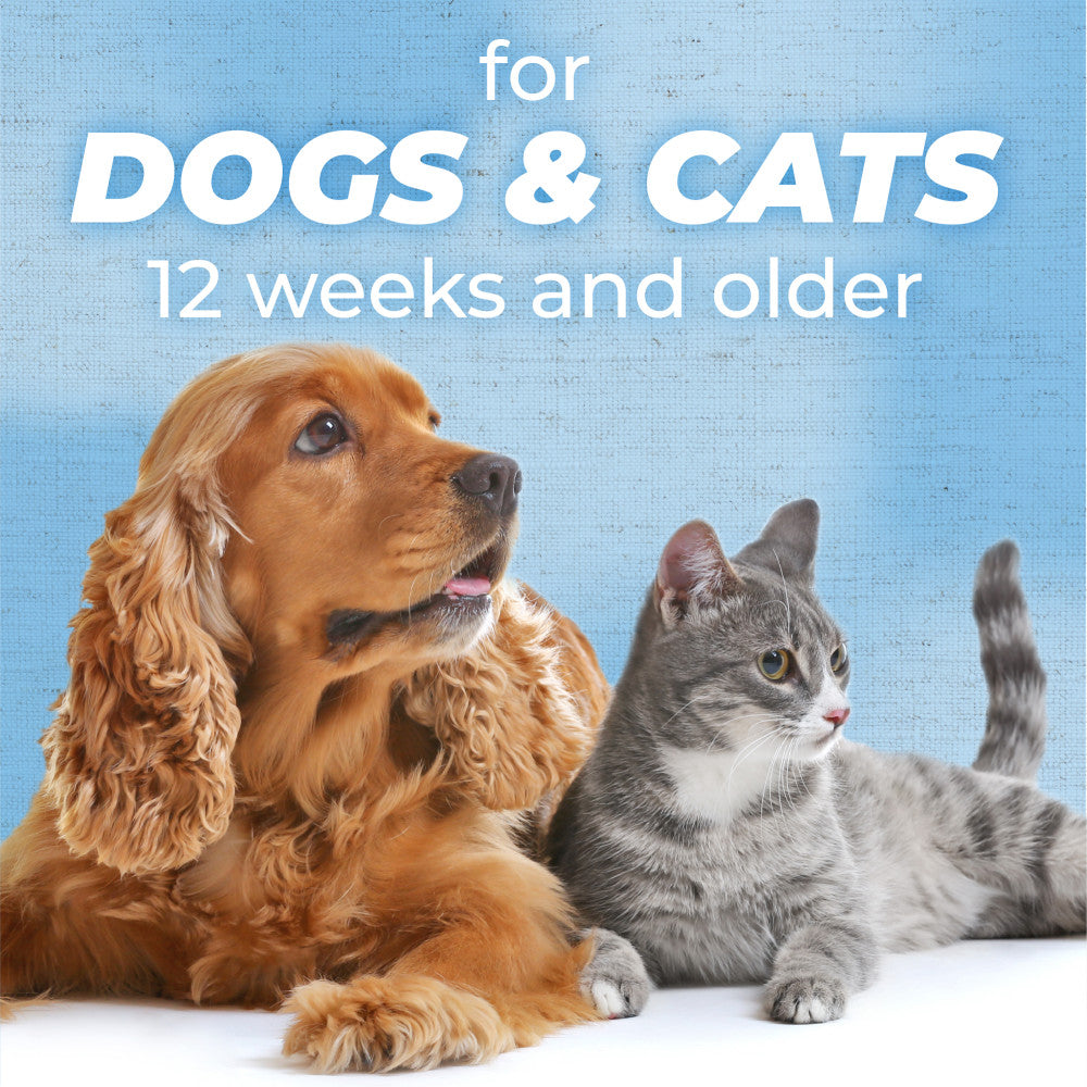 Dog and cat sitting together with text 'for DOGS & CATS 12 weeks and older' on a blue background