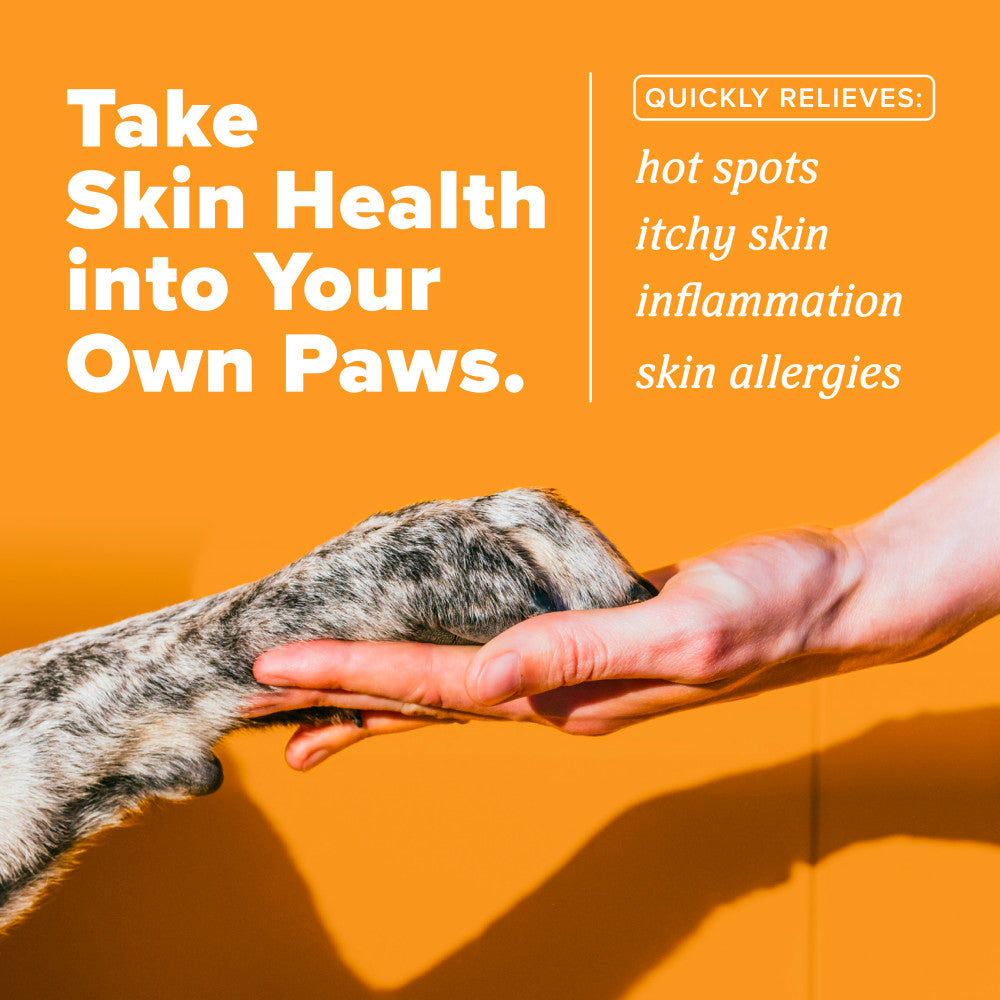 TropiClean HomeVet Medicated Itch & Allergy Pet Spray. Person petting a dog's paw with text about skin health benefits