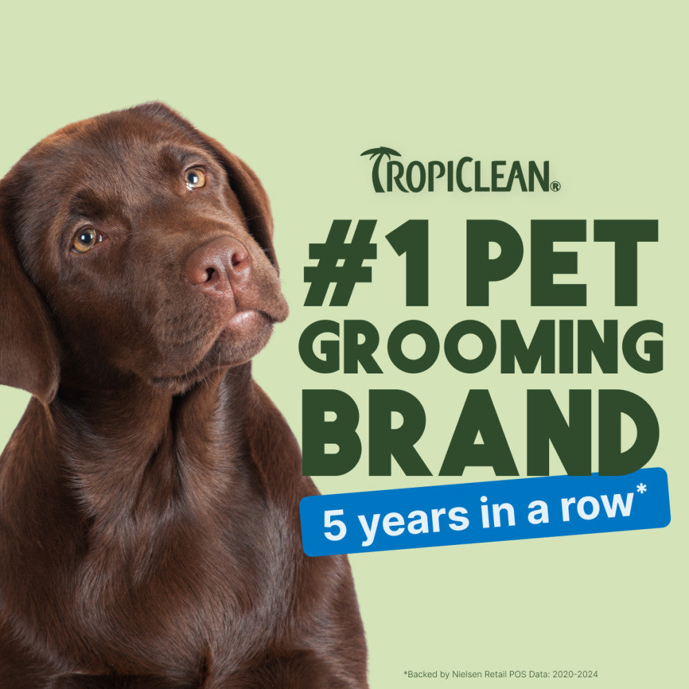 Chocolate Labrador with Tropiclean branding claiming #1 pet grooming brand for 5 years on a light green background