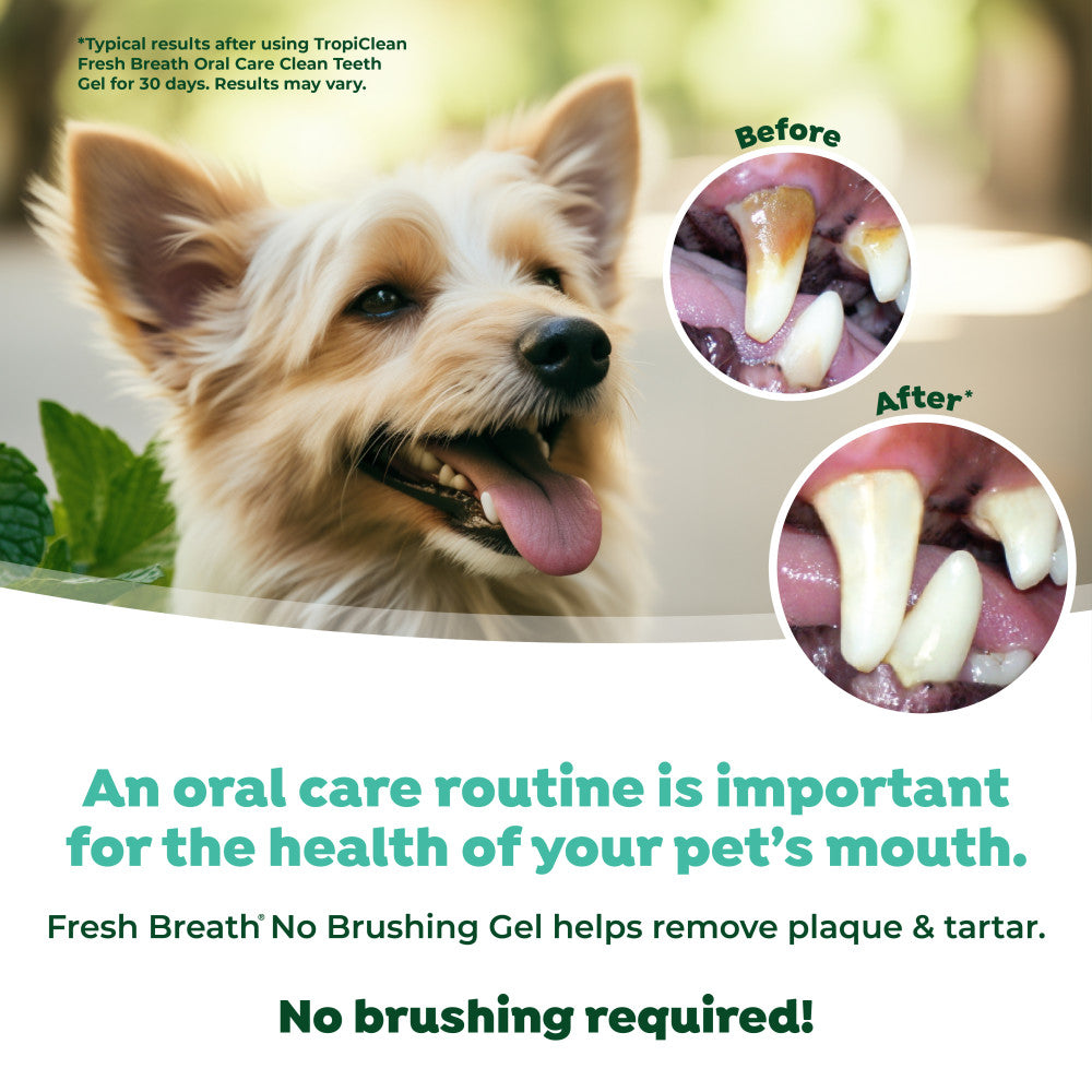 Dog with dental health before and after images and text about TropiClean Fresh Breath Peanut Butter Dental & Oral Care Gel for Dogs.