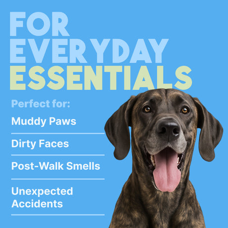 Dog with text 'For Everyday Essentials' on a blue background for TropiClean Hypoallergenic Cleaning Pet Wipes