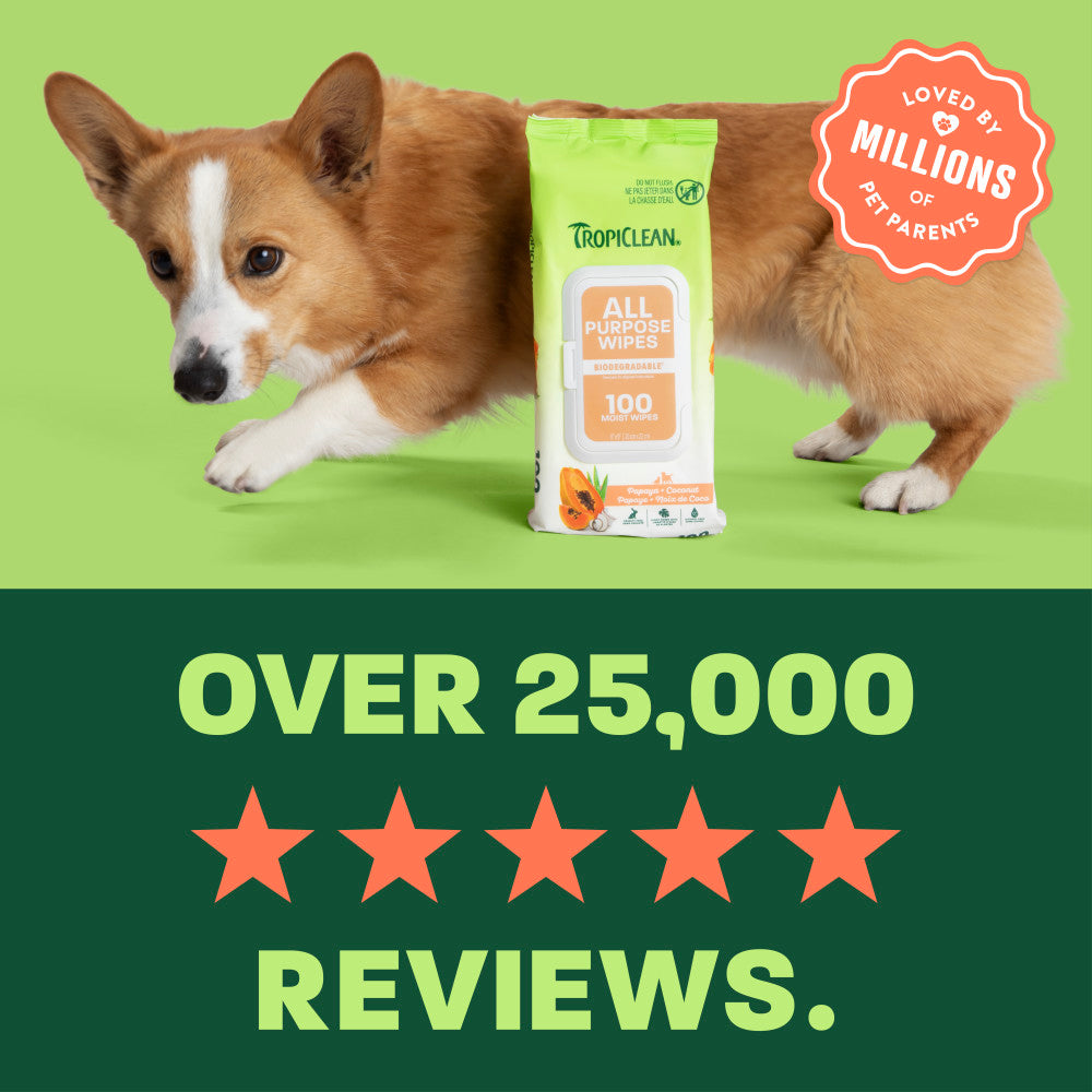 light green and green background, "Loved by millions" 5 star reviews.