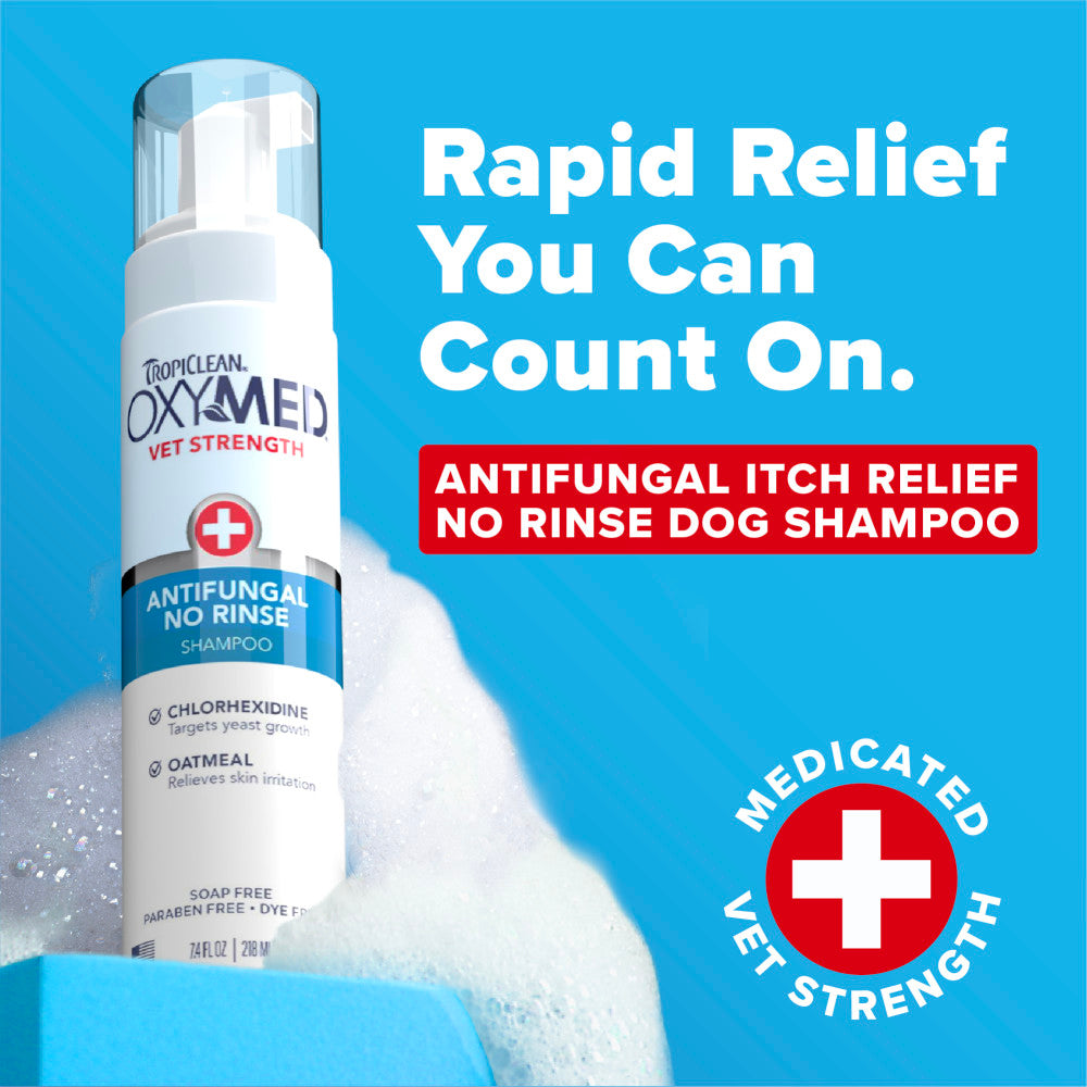 TropiClean OxyMed Antifungal No Rinse Shampoo, 7.4oz