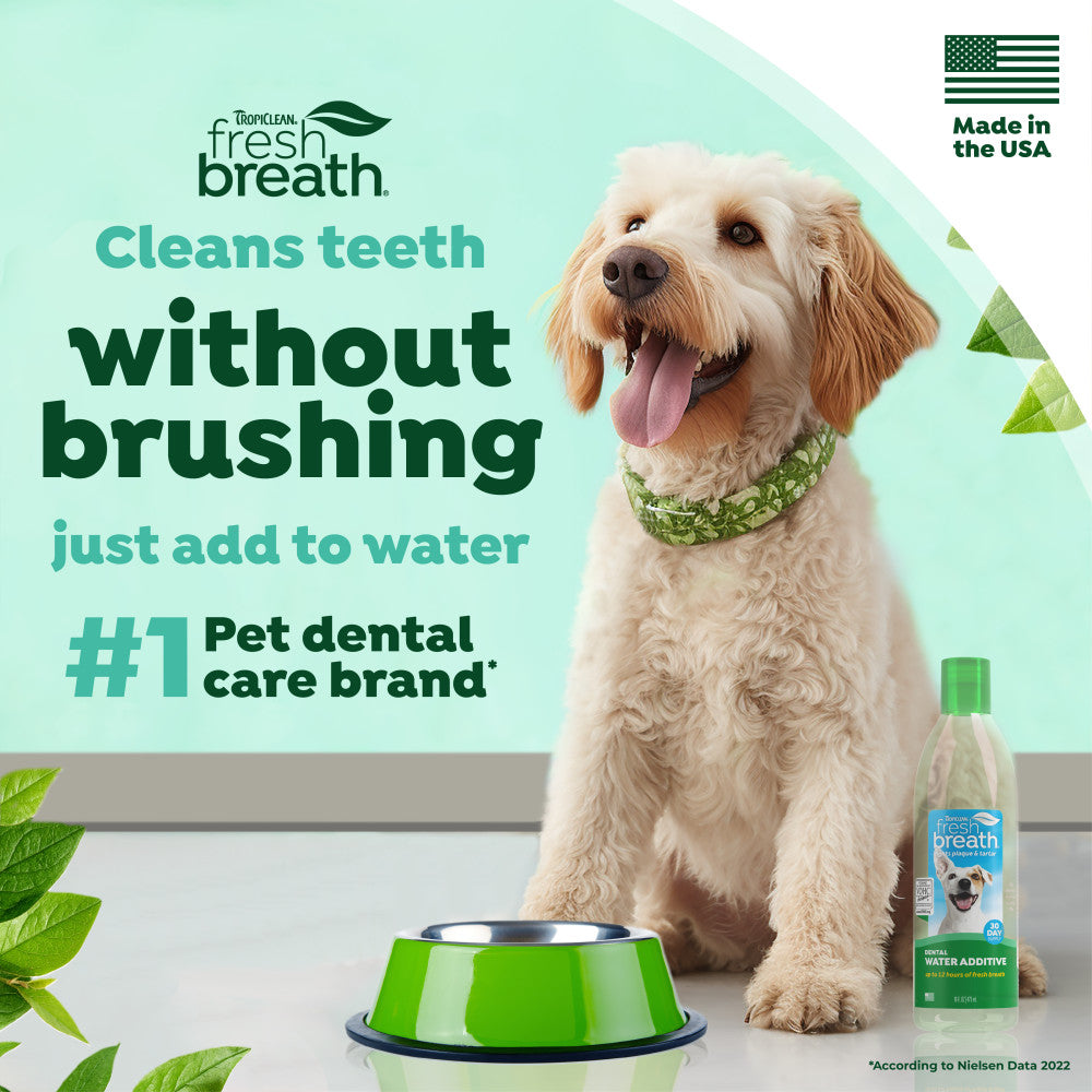 Dog sitting next to a green pet water bottle with 'TropiClean Fresh Breath Oral Care Water Additive for Pets, on a light background.