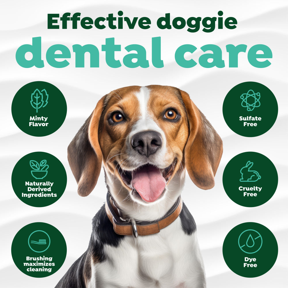 Fresh Breath by TropiClean Oral Care Kit for Dogs. Dog with dental care product features on a white background