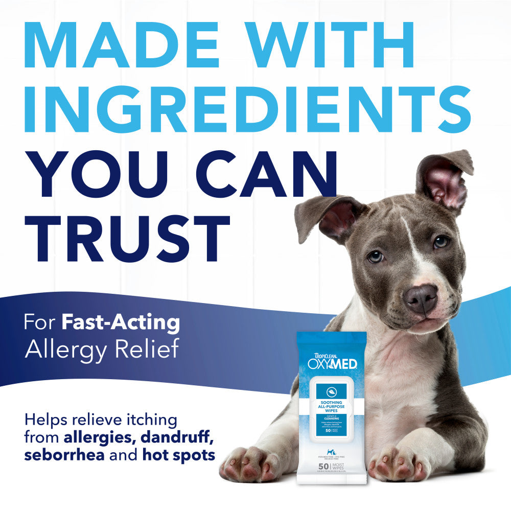 Dog with a package of TropiClean OxyMed Soothing Relief Wipes for Pets with text about fast-acting allergy relief.