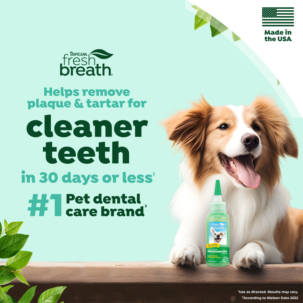 Dog with a bottle of TropiClean Fresh Breath Dental & Oral Care Brushing Gel for Pets