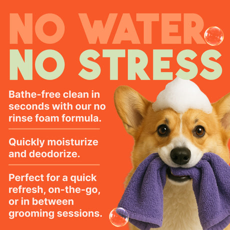 Dog with a towel and foam on an orange background with text about a no water, no stress TropiClean Papaya & Coconut Waterless Shampoo for Dogs & Cats.