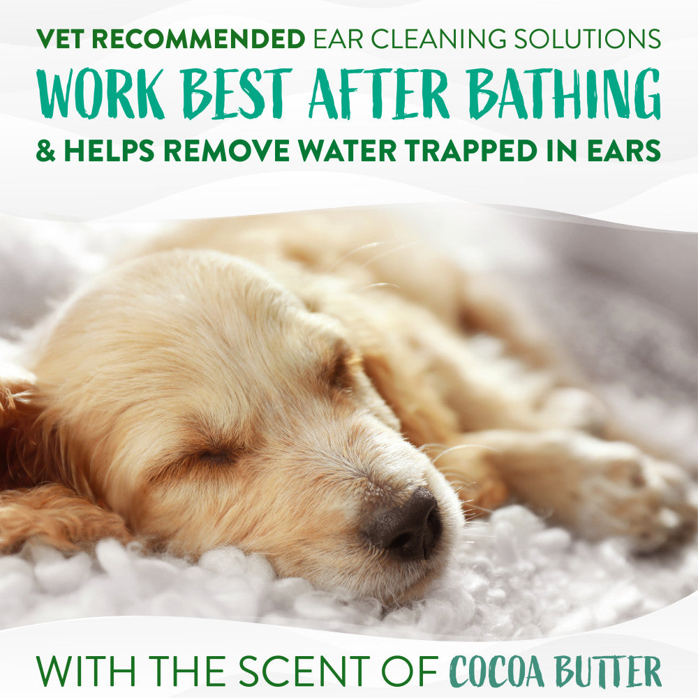 Dog lying down with text about vet-recommended ear cleaning solutions and cocoa butter scent.