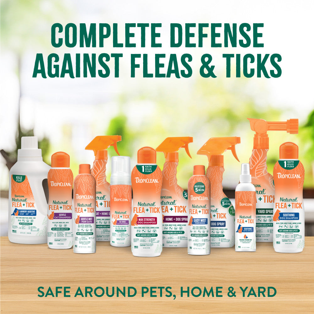 TropiClean Natural Flea + Tick Gentle Cat Shampoo. Collection of flea and tick treatment products for pets